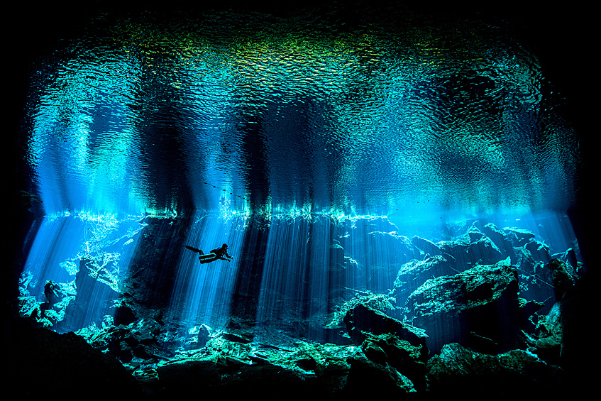 В номинации лучший Британский подводный фотограф победу одержал ирландец Ник Блейк, который ради выигрышного снимка опустился в мексиканский водосточный колодец Сенот Чак-Мул