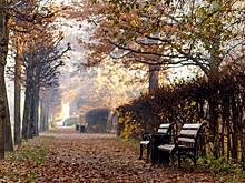 Главархив представил новую онлайн-выставку «Парки Москвы. Осень»