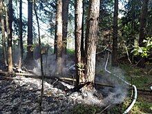 В Раменском и Егорьевском горокругах ликвидировали торфяные пожары