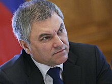 5 декабря Володин встретится с главой нижней палаты парламента Австрии