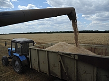 У волгоградских аграриев все идет по плану