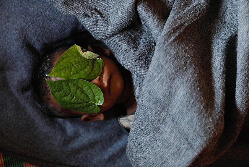Победителем в номинации «Фотография года» стал корреспондент Reuters Дамир Саголж с фотографией, изображающий младенца в лагере беженцев народа рохинджа в Бангладеш. В 2017 году более полумиллиона представителей народа рохинджа бежали из Мьянмы в попытке спастись от этнических чисток, предпринятых представителями власти