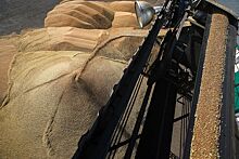 Из элеватора на Урале пропали 3 тысячи тонн пшеницы. Там хранились в том числе запасы Росрезерва