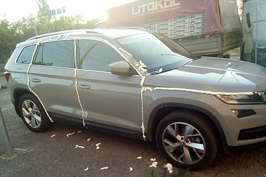 Россиянин жестоко поплатился за неправильную парковку