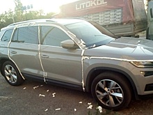 Россиянин жестоко поплатился за неправильную парковку