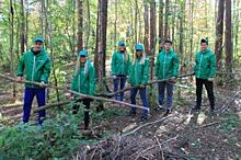 Пермские химики помогли расчистить Черняевский лес