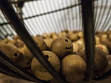 Жительница США выиграла в лотерею $1 млн в свой день рождения