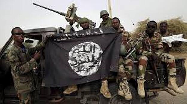 220 боевиков "Боко харам" арестованы в Нигерии