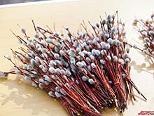 Когда отмечают Вербное воскресение в 2017 году?