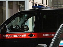 Злоупотребления в фонде Доктора Лизы расследует СК