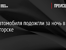 Два автомобиля подожгли за ночь в Светогорске