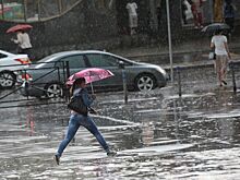 В Новгородской области ввели режим ЧС из-за ливней