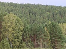 Новому главе областного минлесхоза пожаловались на изношенную технику