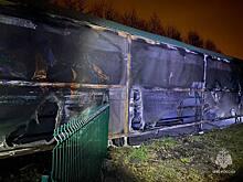 Шесть зебр погибли в пожаре в Белгородской области