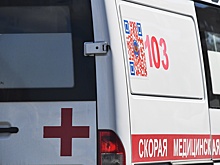 До четырех увеличилось число погибших при крушении Ми-2 в Кировской области