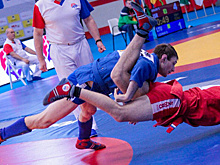 Россияне выиграли медальный зачет чемпионата Европы по самбо