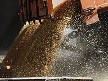 В МИД заявили о плохой реализации сделки по зерну