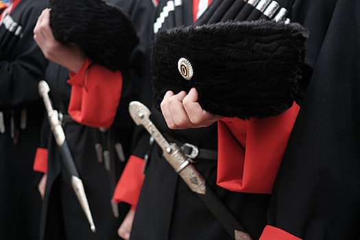 Тамплиеров заподозрили в ограблении петербургских казаков