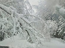 Высота снежного покрова в выходные превысила 20 сантиметров