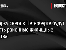 За уборку снега в Петербурге будут отвечать районные жилищные агентства