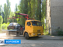 До конца сентября с воронежских улиц уберут около 40 брошенных автомобилей
