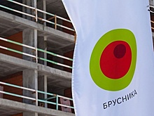 В суд пришел сигнал о проблемах "Брусники" с деньгами