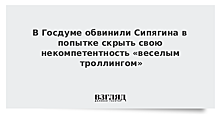 В Госдуме обвинили Сипягина в попытке скрыть свою некомпетентность «веселым троллингом»