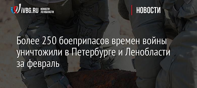 Более 250 боеприпасов времен войны уничтожили в Петербурге и Ленобласти за февраль