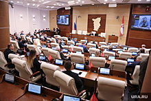 Пермские депутаты трудоустраивают во власть своих детей и братьев