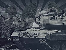 Мыши грызут проводку в западной технике, используемой ВСУ. Поможет ли это армии России?