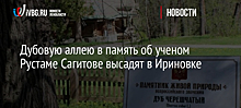 Дубовую аллею в память об ученом Рустаме Сагитове высадят в Ириновке