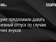 В Госдуме высказались о предложении давать отпуск по случаю рождения внуков