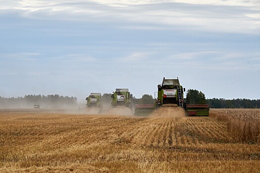 Губернатор Травников оценил достижения сельхозотрасли в Ордынском районе