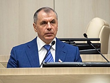 Константинов назвал пиратской выходкой захват СБУ сухогруза в Черном море
