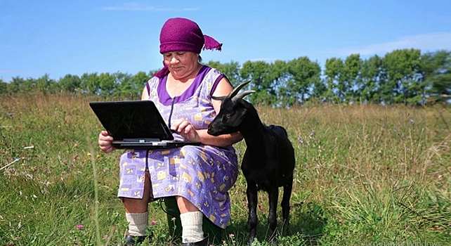 Калининградские поселки с населением от 250 человек получат интернет