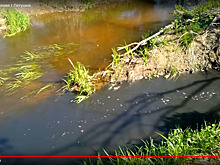В речку Березку спускают канализацию: в Петушках сломались очистные сооружения?