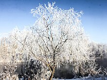 Синоптик Тишковец: приход метеорологической зимы в Москву откладывается
