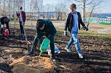 Где в Ульяновске купить саженцы?