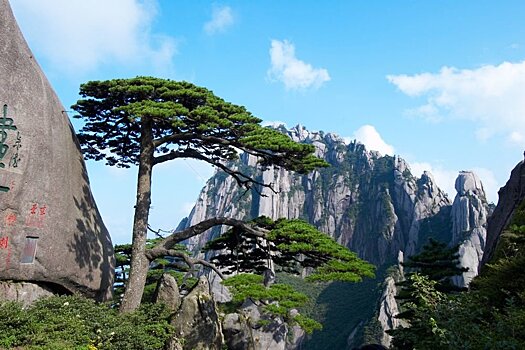 Горы Хуаншань: когда реальность превосходит самые смелые фантазии