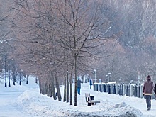 Песков рассказал, когда стоит ждать возвращения к нормальной жизни после пандемии