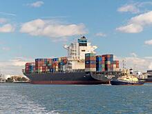 Доля морских перевозок в обеспечении ВЭД в 2022 году в РФ выросла до 69%