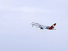 Самолет из Нового Уренгоя из-за лисы ушел на второй круг при посадке в Пулково