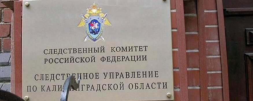 В Калининграде появятся 133 антивандальные урны