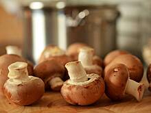 Терапевт Шмелева перечислила способные заменить мясо в рационе продукты