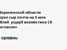 В Воронежской области сгорел сыр почти на 5 млн рублей  ущерб возместила СК «Согласие»