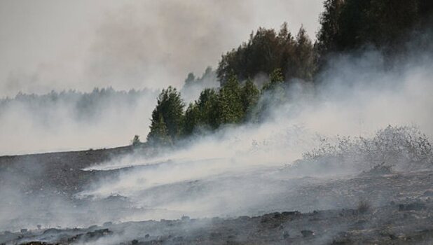 Более 180 гектаров торфяников загорелись в Полтавской области