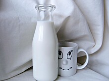 В Кемеровской области запустят производство безлактозного молока в 2021 году