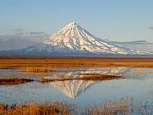 Японские туроператоры ждут открытия прямого регулярного авиасообщения с Камчаткой