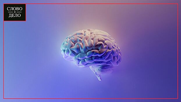 Нейробиолог «Сколтеха» рассказал, почему человек не сможет жить в обществе без лжи