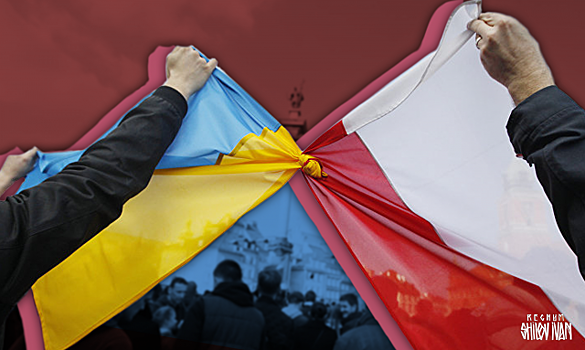 Соцсети о миграции украинцев в Польшу: «Забыли, кто их быдлом считал?»